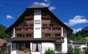 Hotel Kranz Bad Rippoldsau